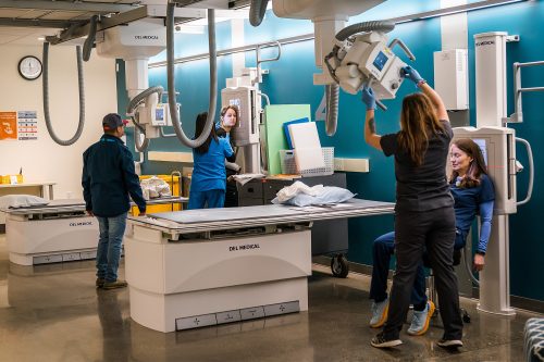 Medical Imaging students practicing X-raying mock patients' heads