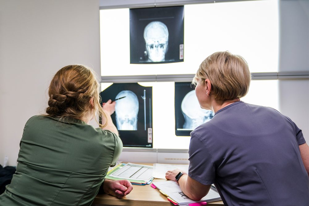 Medical Imaging students studying X-rays of a head