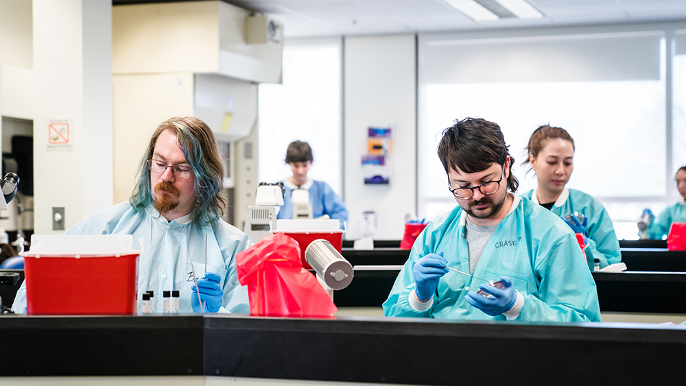 Students doing an experiment in the medical lab