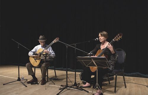 Guitar duet performing