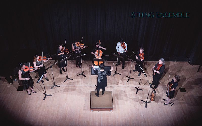 String ensemble