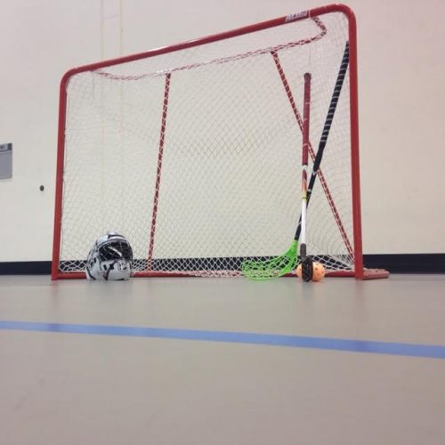 Rock Creek floorball goal