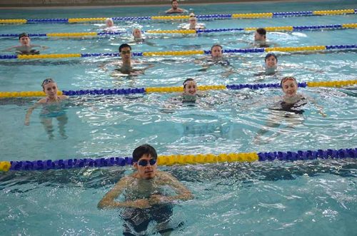 Swimmers in the lanes in Sylvania pool