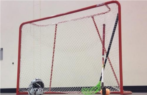 floorball goal
