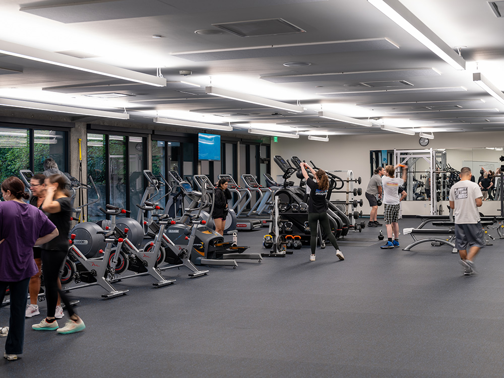 rows of exercise machines