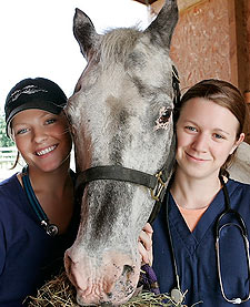 Student and partner standing on either side of a horse