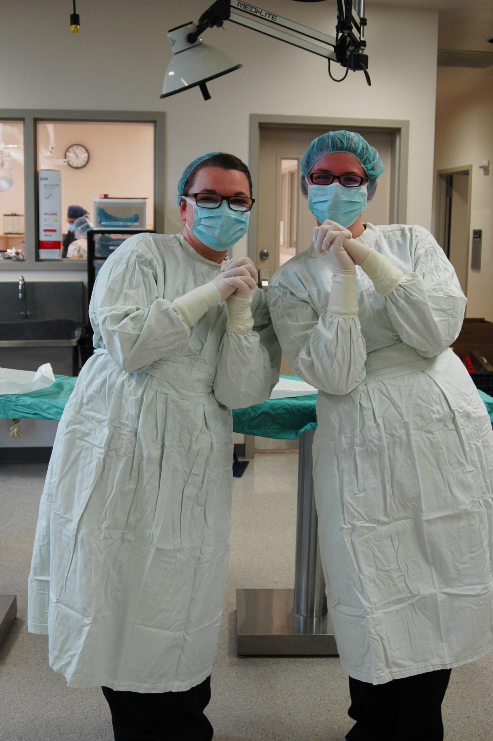 Students in the classroom 