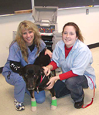 students inside the kennel facilities with a dog