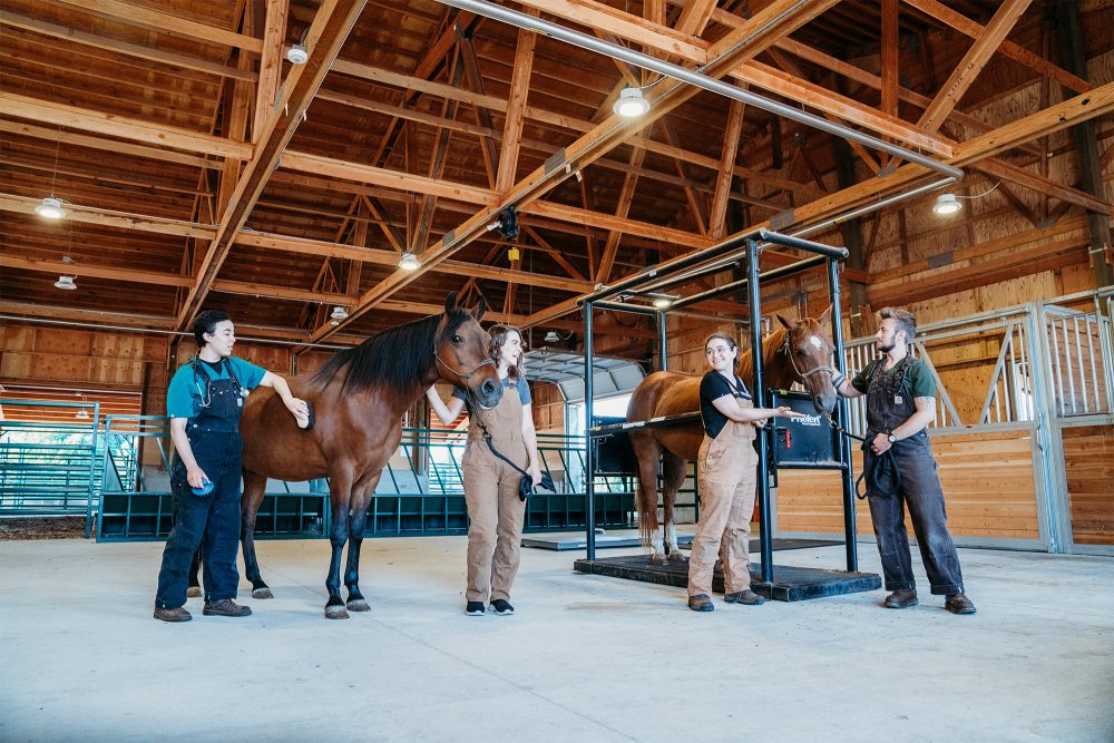 Vet Tech students with horses in the Rock Creek barn