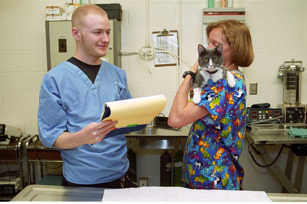 Vet Tech student holding a cute cat in the clinic