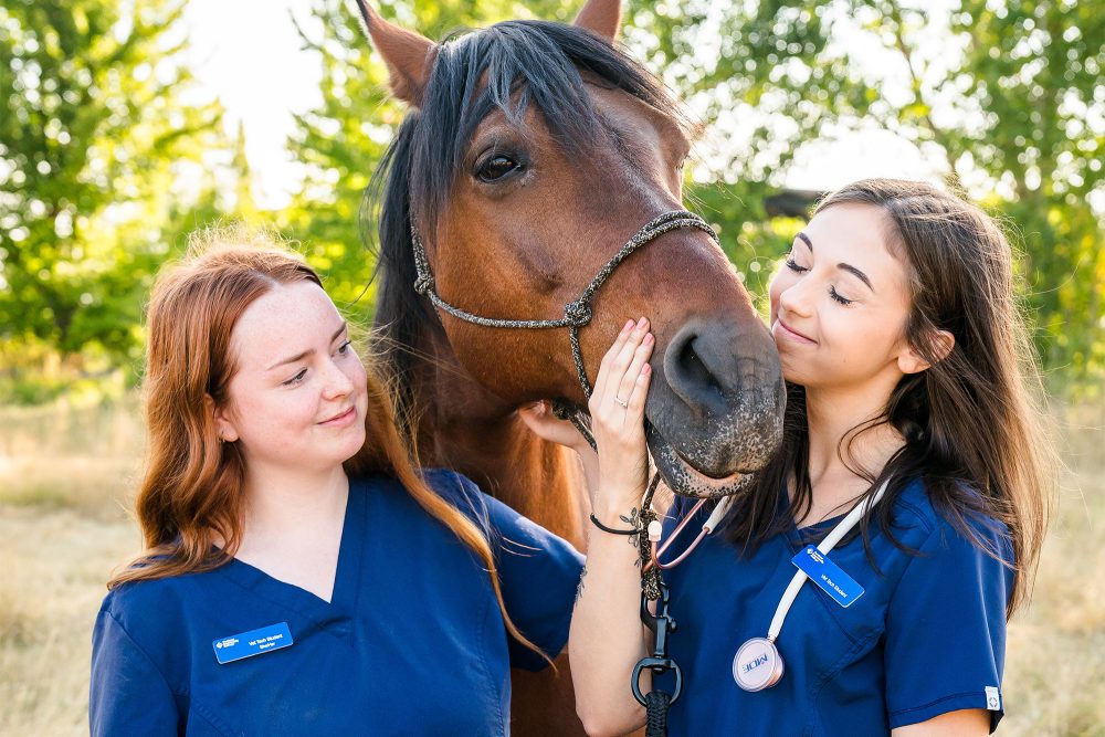 Vet Tech students giving a horse cuddles
