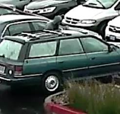 Subject at southeast