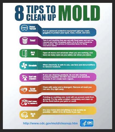 CDC 8 tips to clean up mold