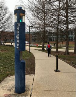 blue light and pole with telephone interface along college path