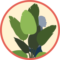 Person hiding behind a large plant