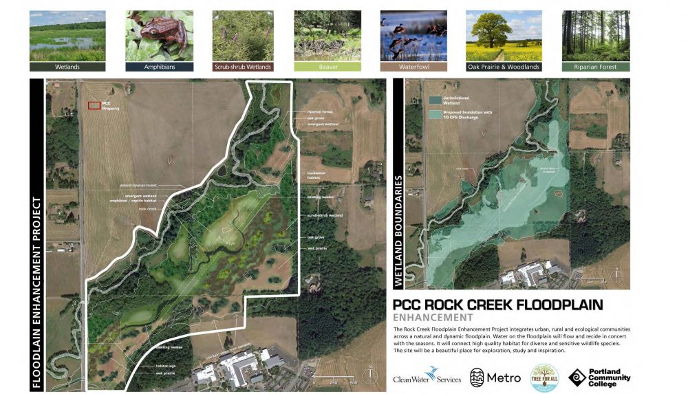 Aerial photo annotated to show desired plant communities in the Rock Creek floodplain