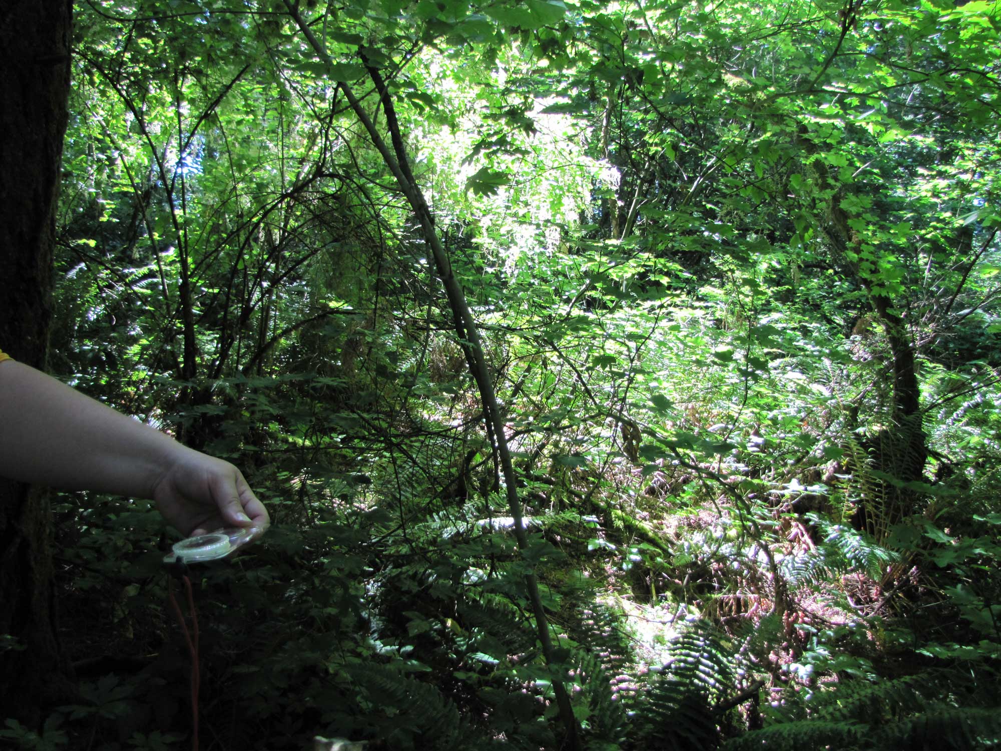 Summer 2017 Photopoint 3A