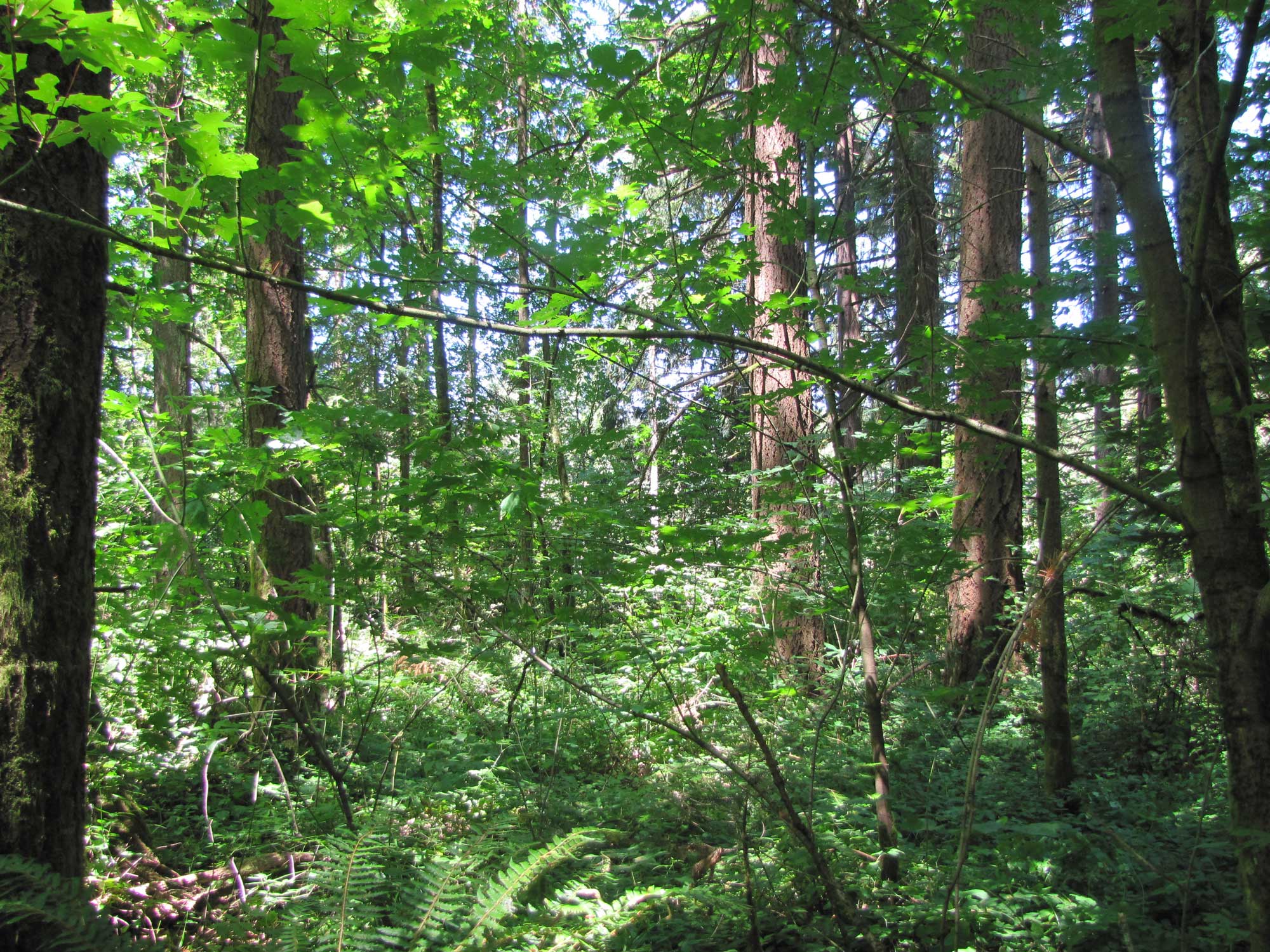 Summer 2017 Photopoint 3B