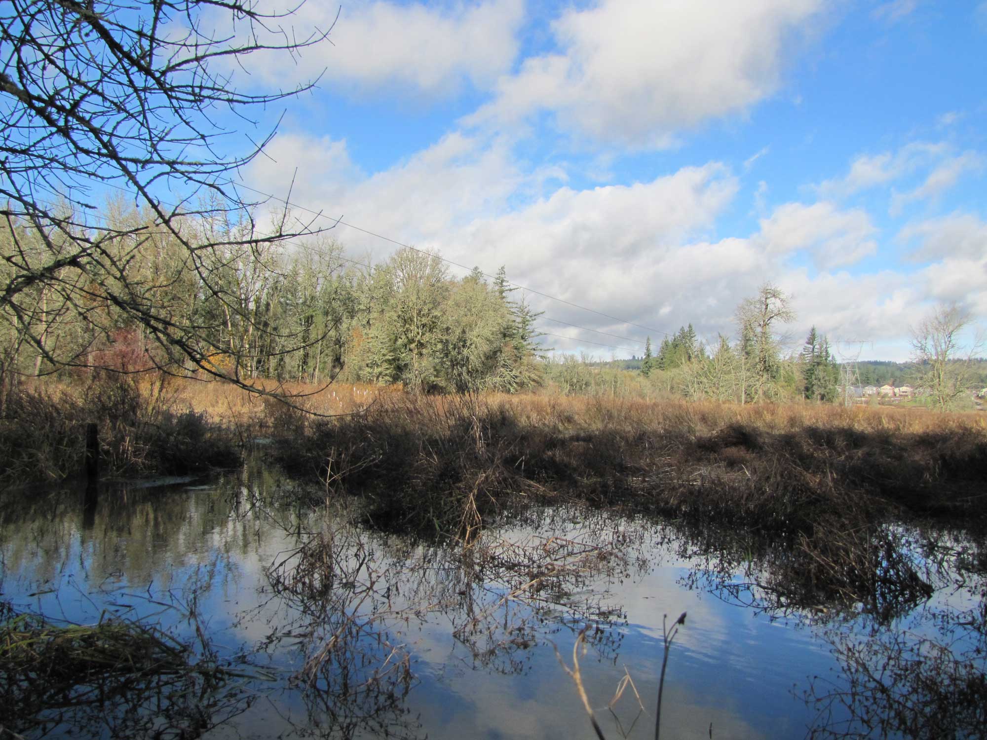 Fall 2017 Photopoint 10A