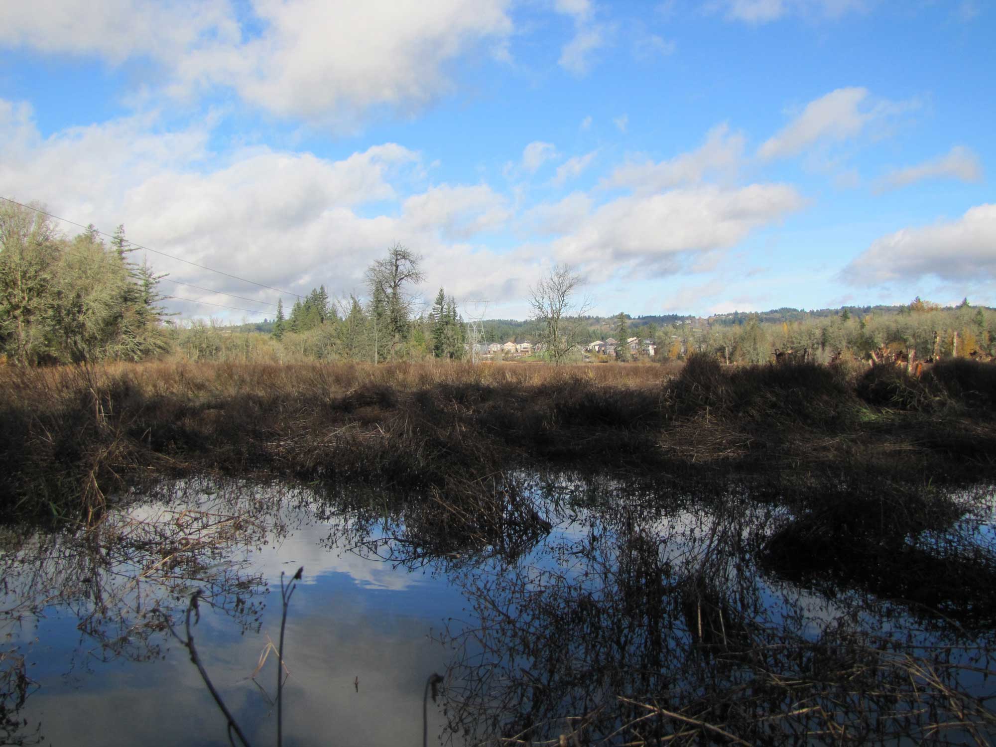 Fall 2017 Photopoint 10B