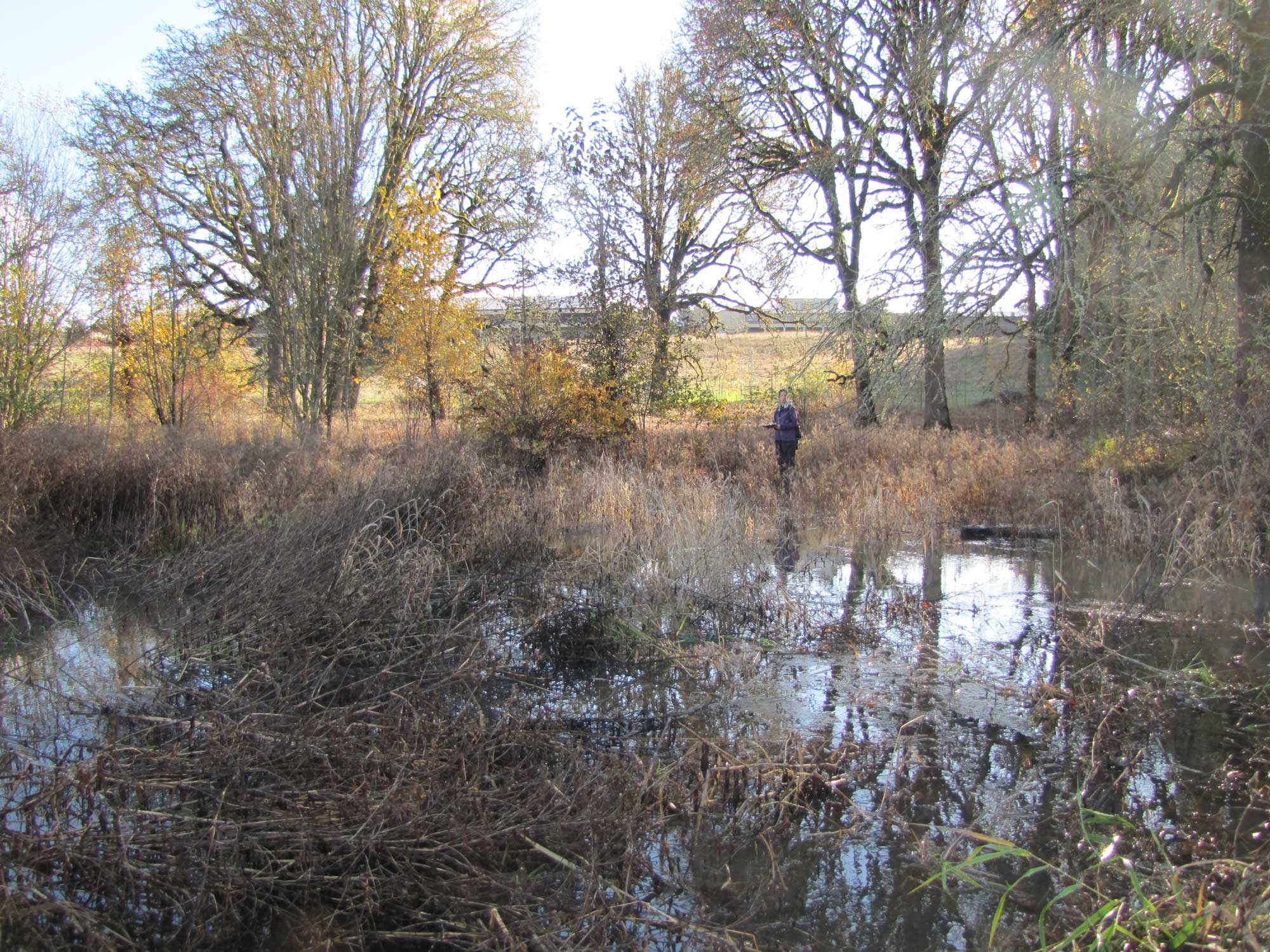 Fall 2017 Photopoint 10C