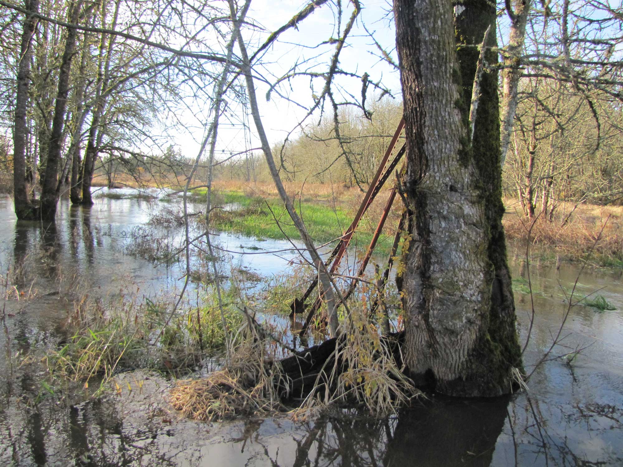 Fall 2017 Photopoint 10D