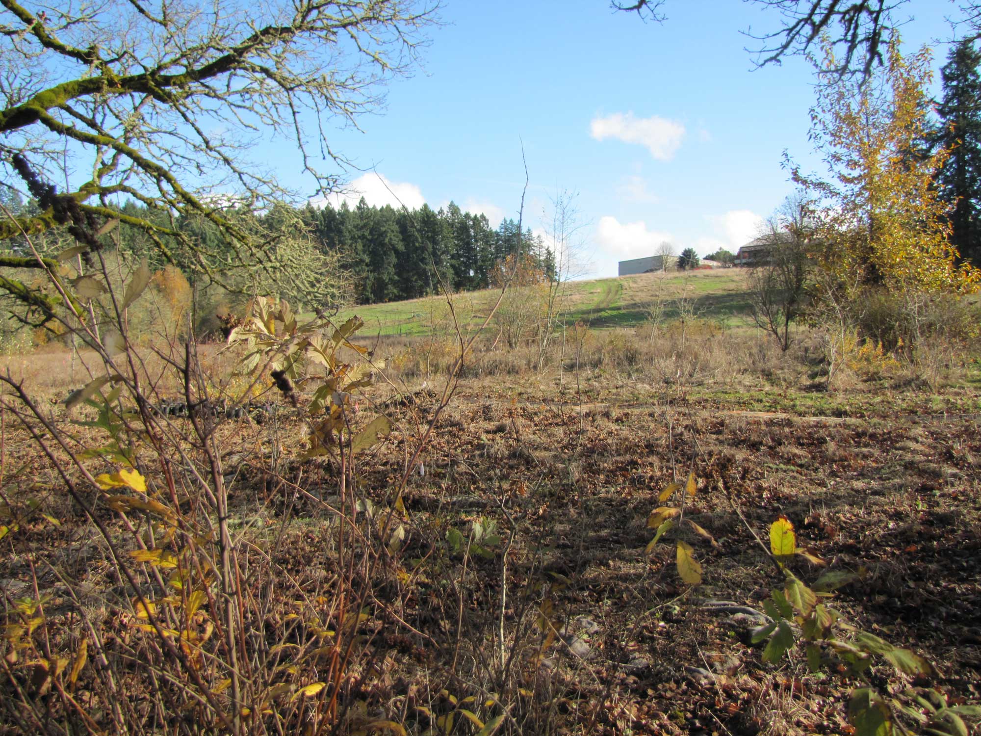 Fall 2017 Photopoint 11A