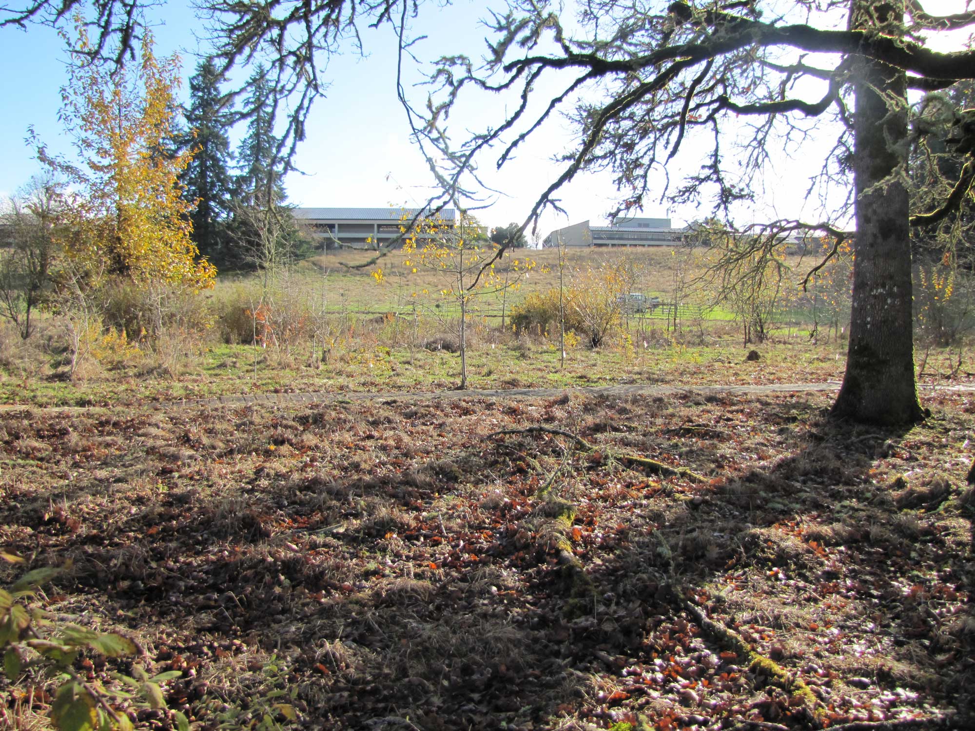 Fall 2017 Photopoint 11B