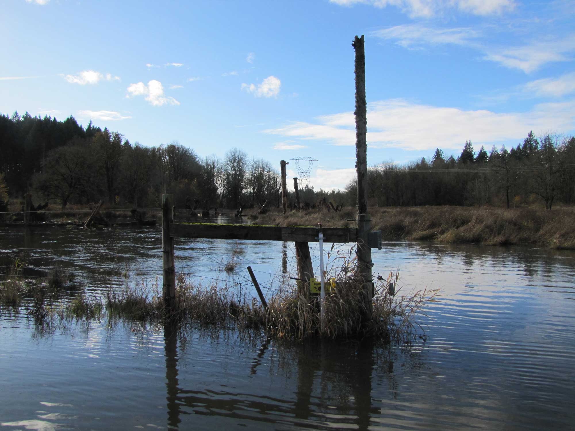 Fall 2017 Photopoint 12B