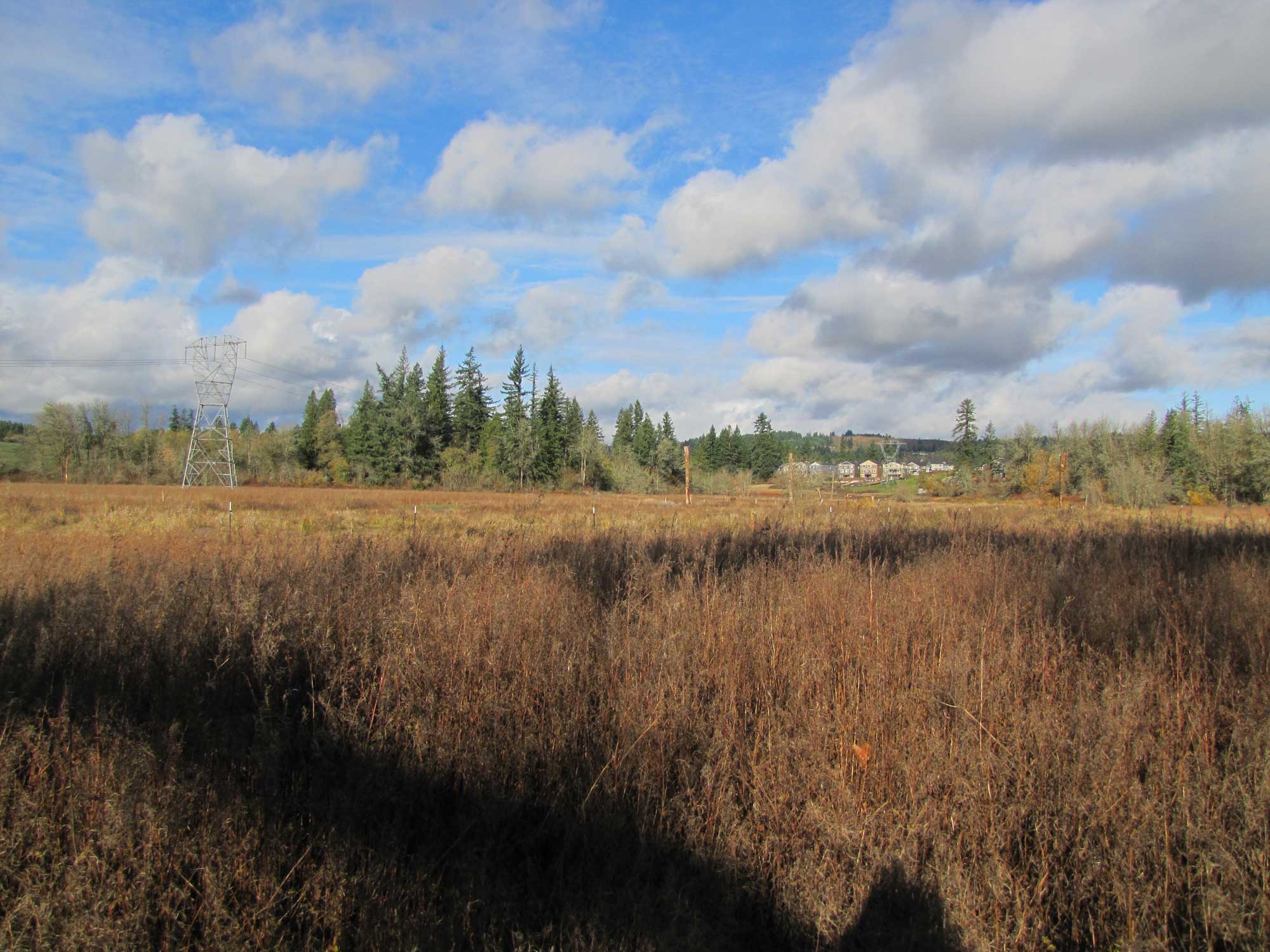 Fall 2017 Photopoint 13A