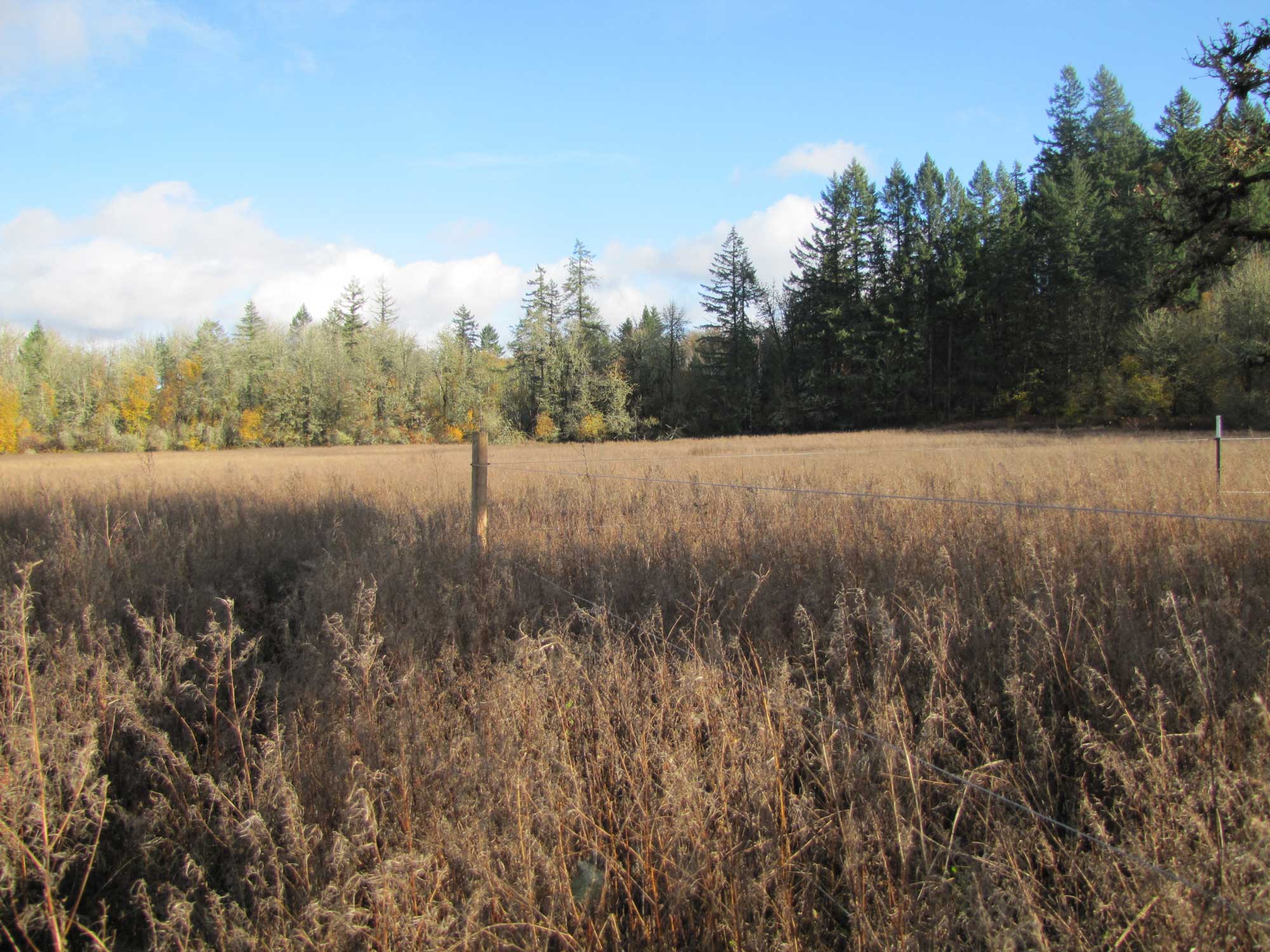 Fall 2017 Photopoint 13B