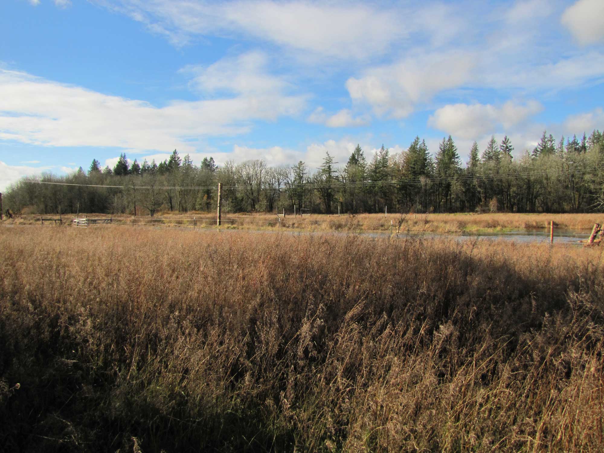 Fall 2017 Photopoint 13D