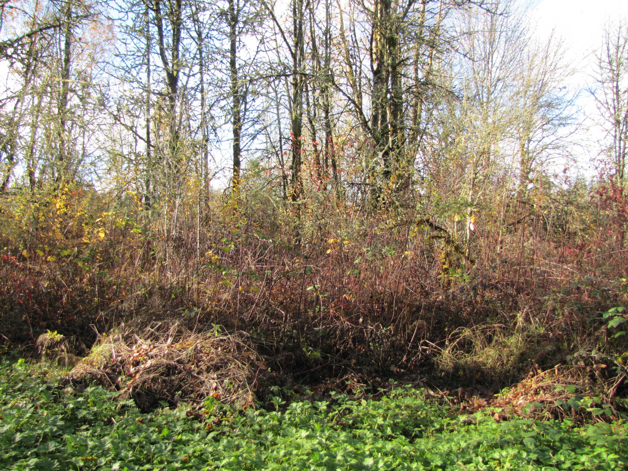 Fall 2017 Photopoint 14D