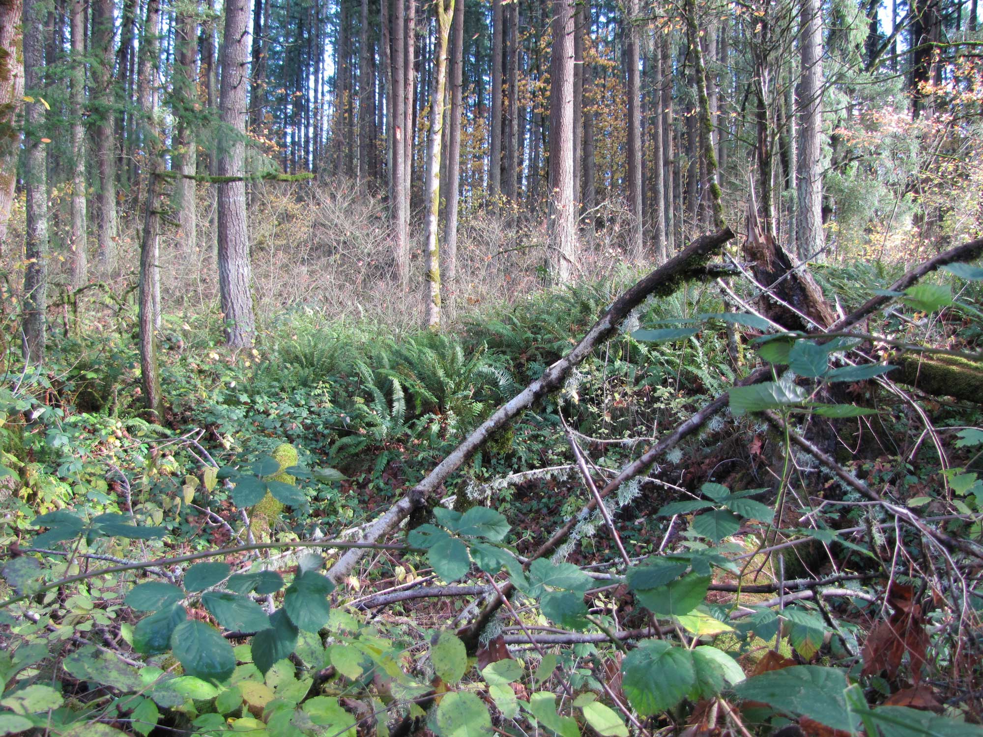 Fall 2017 Photopoint 16A