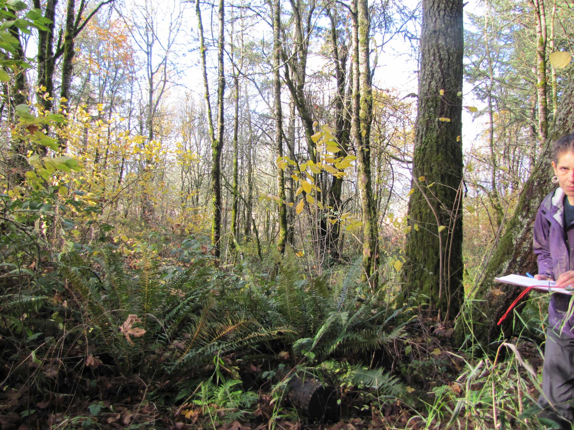 Fall 2017 Photopoint 16B