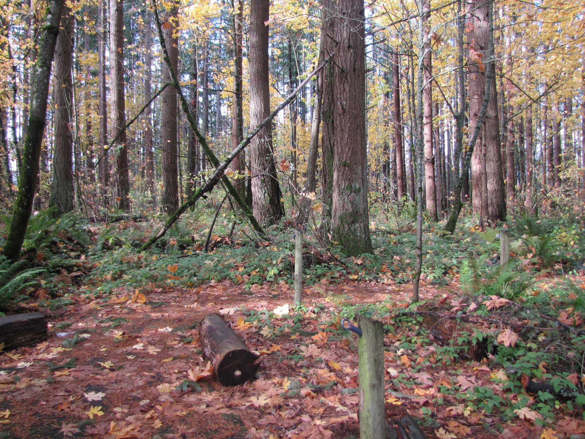 Fall 2017 Photopoint 19C