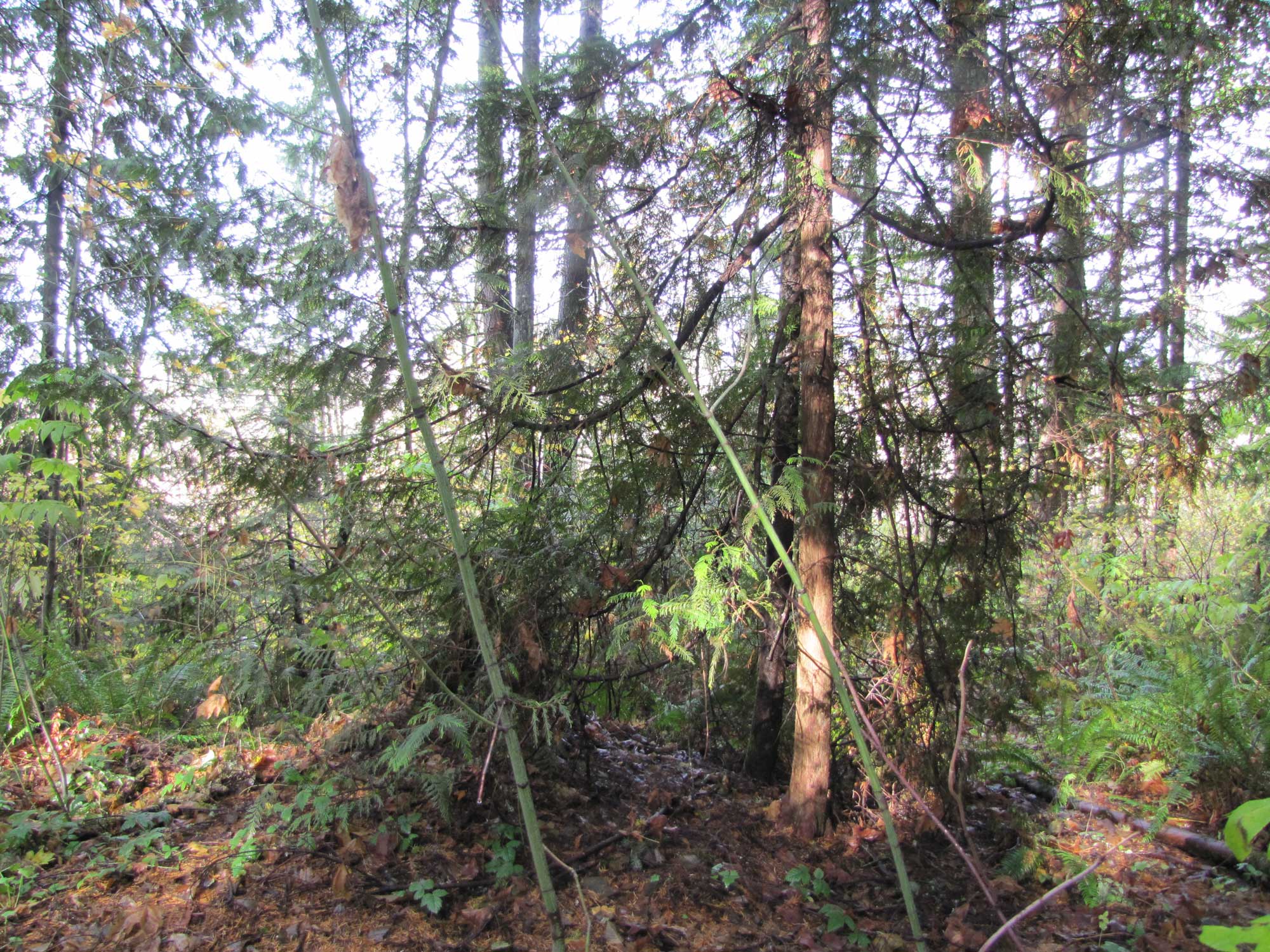 Fall 2017 Photopoint 2B