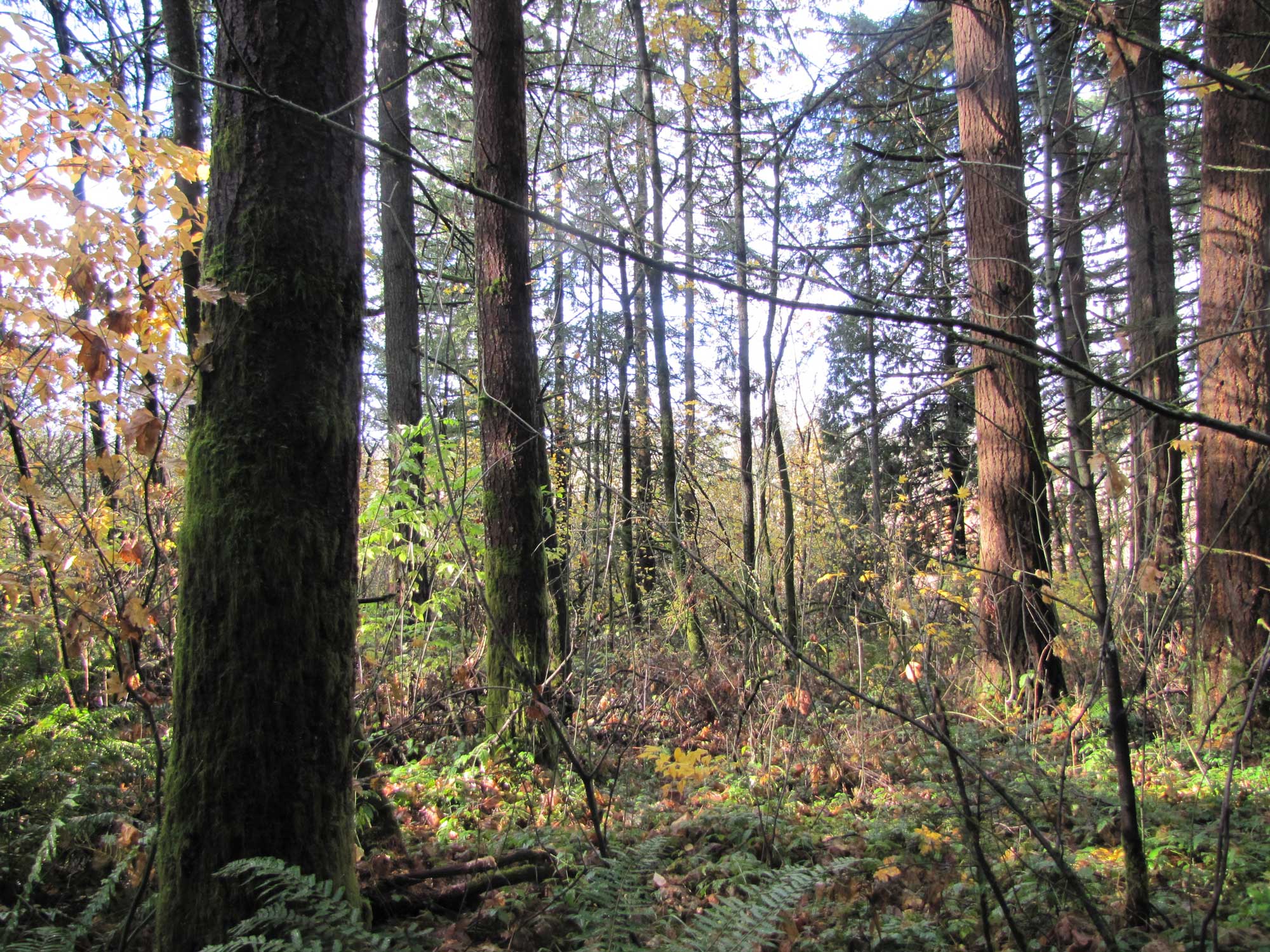 Fall 2017 Photopoint 3B