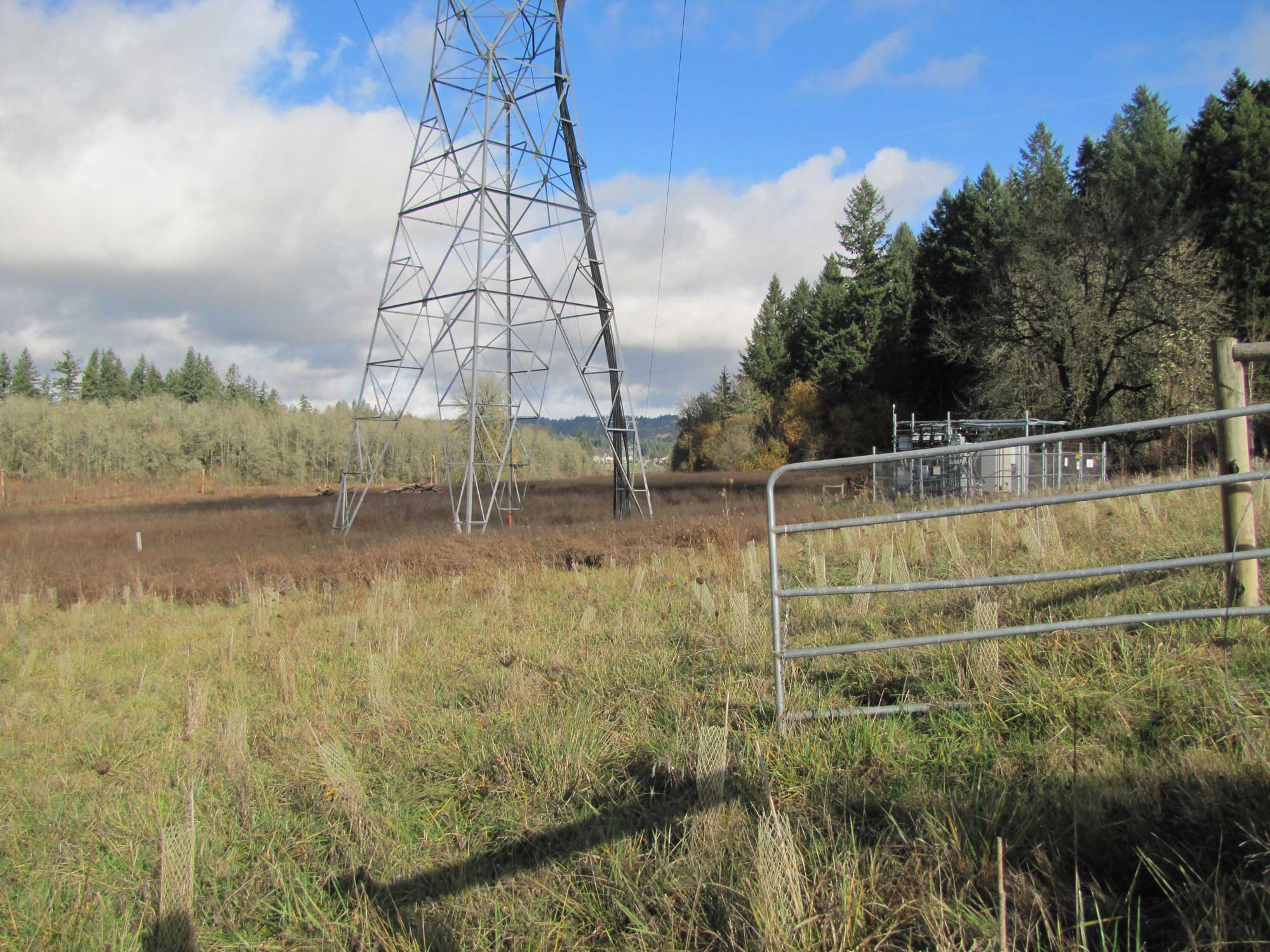 Fall 2017 Photopoint 4A