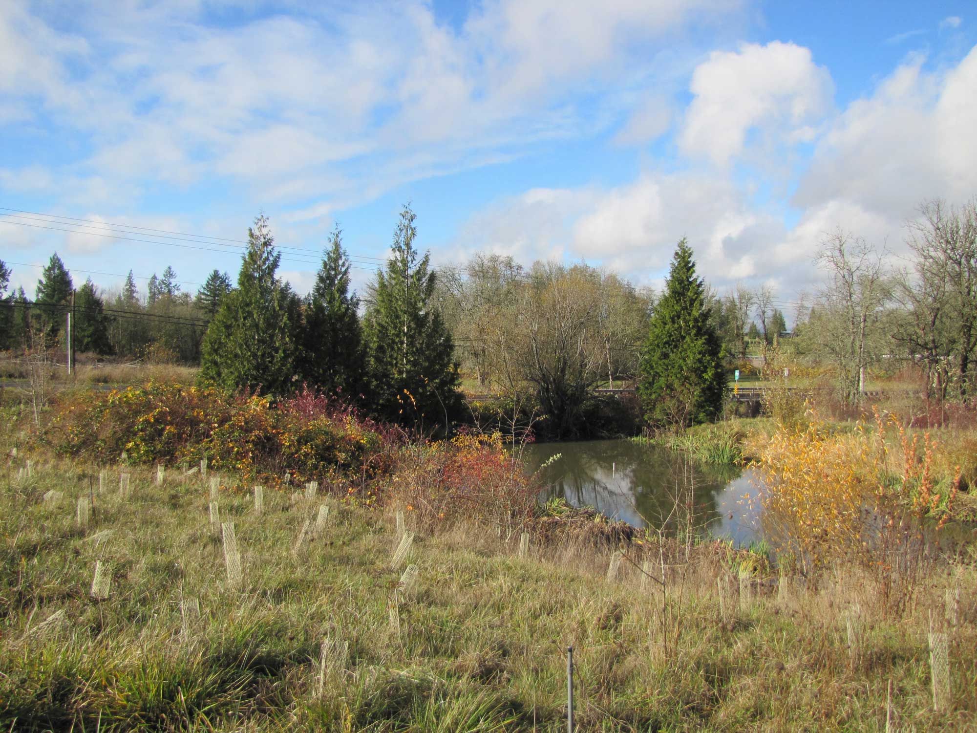 Fall 2017 Photopoint 4B