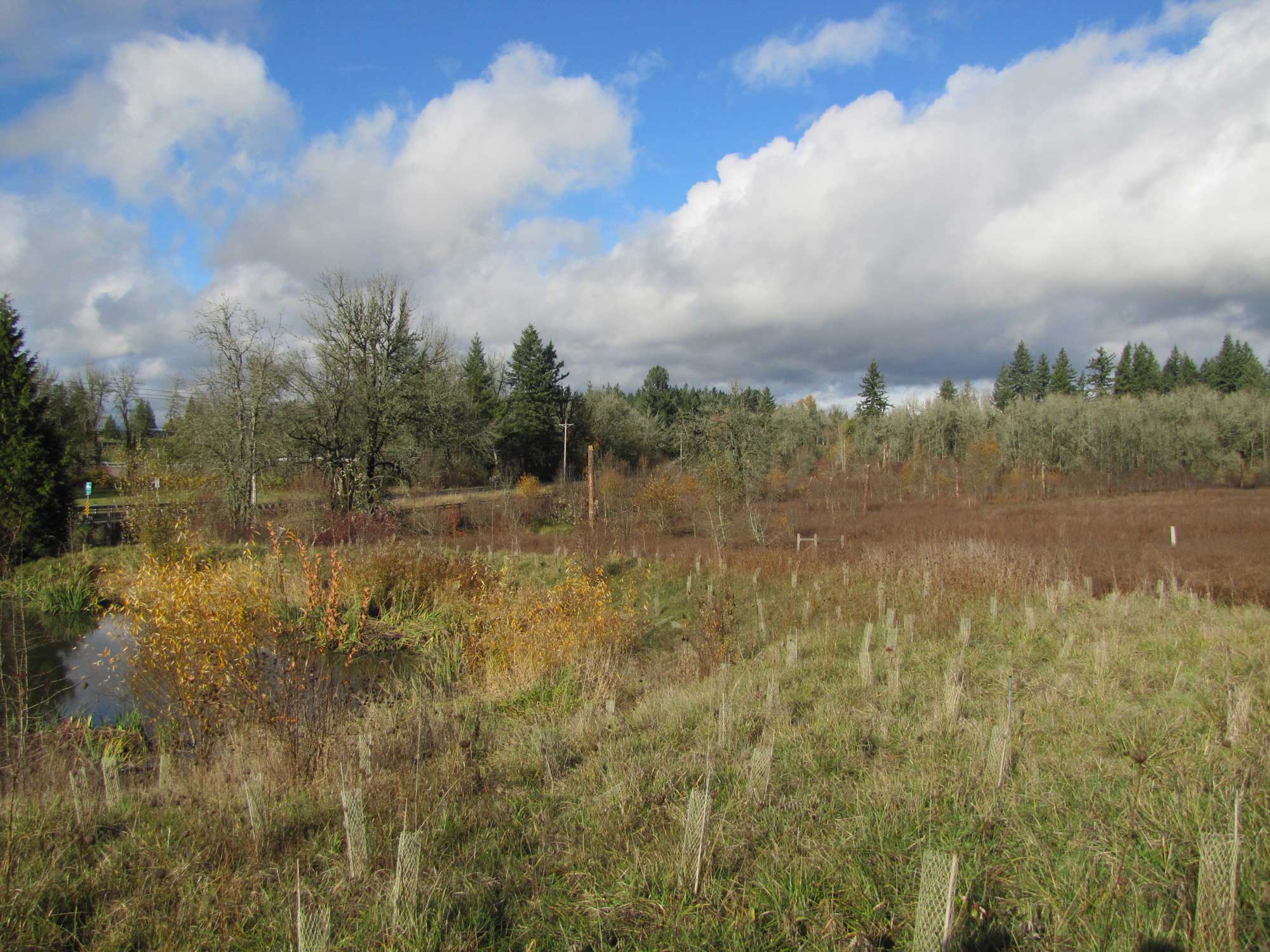 Fall 2017 Photopoint 4C