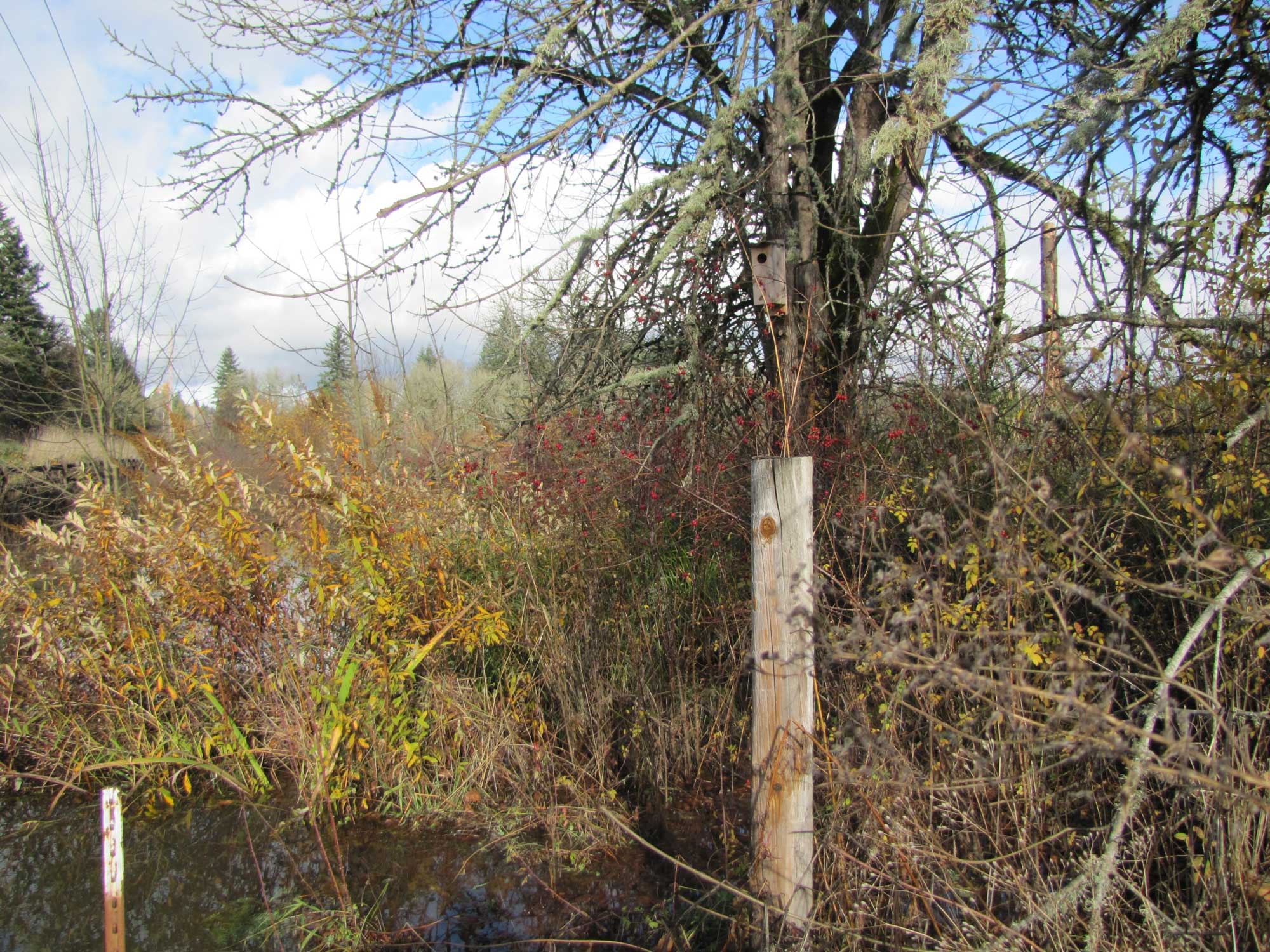 Fall 2017 Photopoint 5A