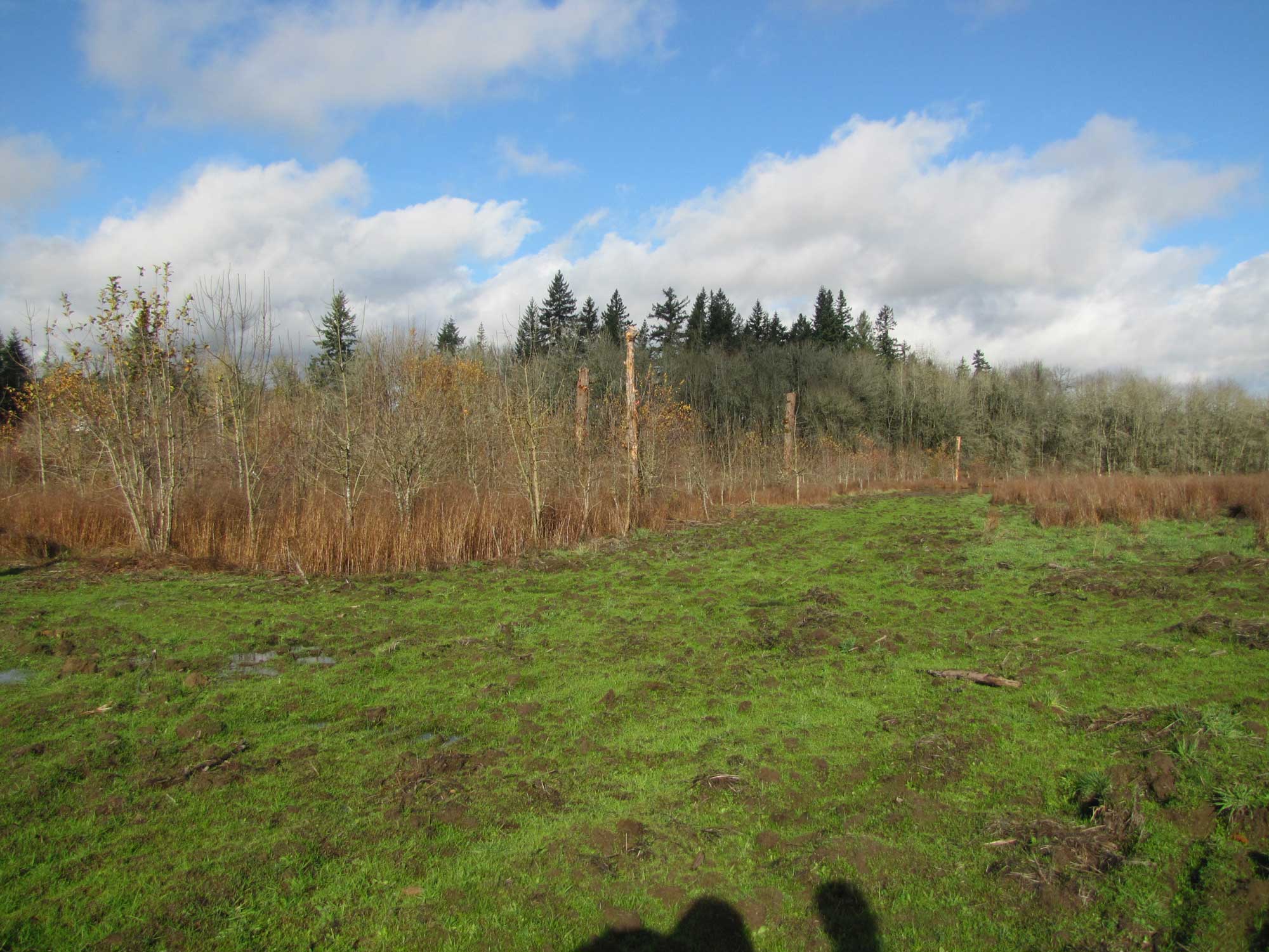 Fall 2017 Photopoint 6A