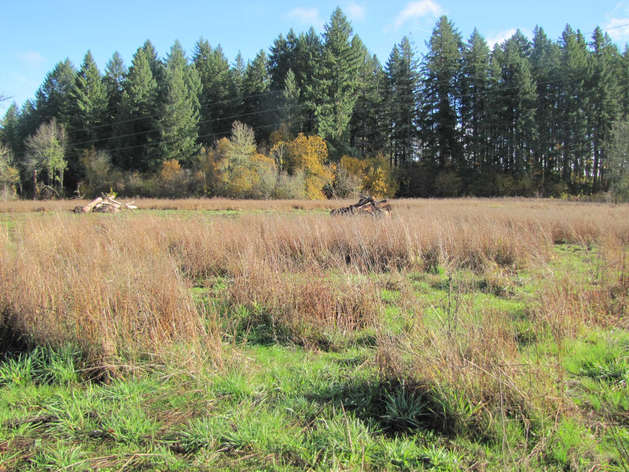 Fall 2017 Photopoint 6B