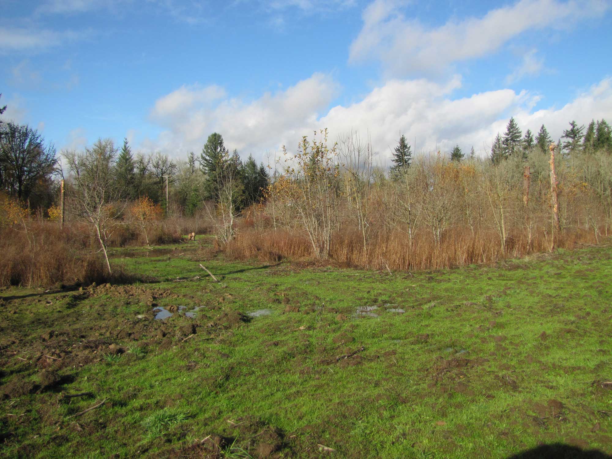 Fall 2017 Photopoint 6C