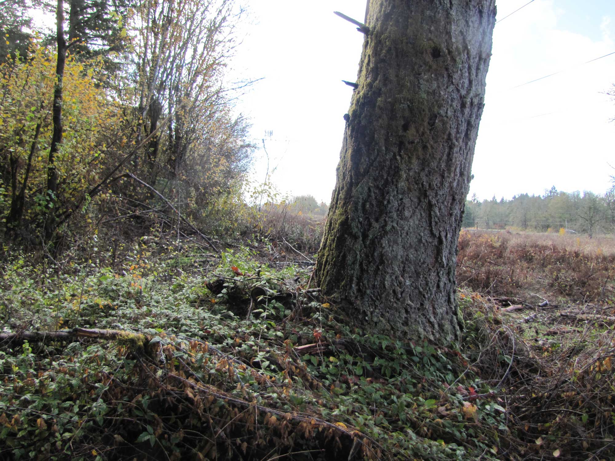 Fall 2017 Photopoint 7A