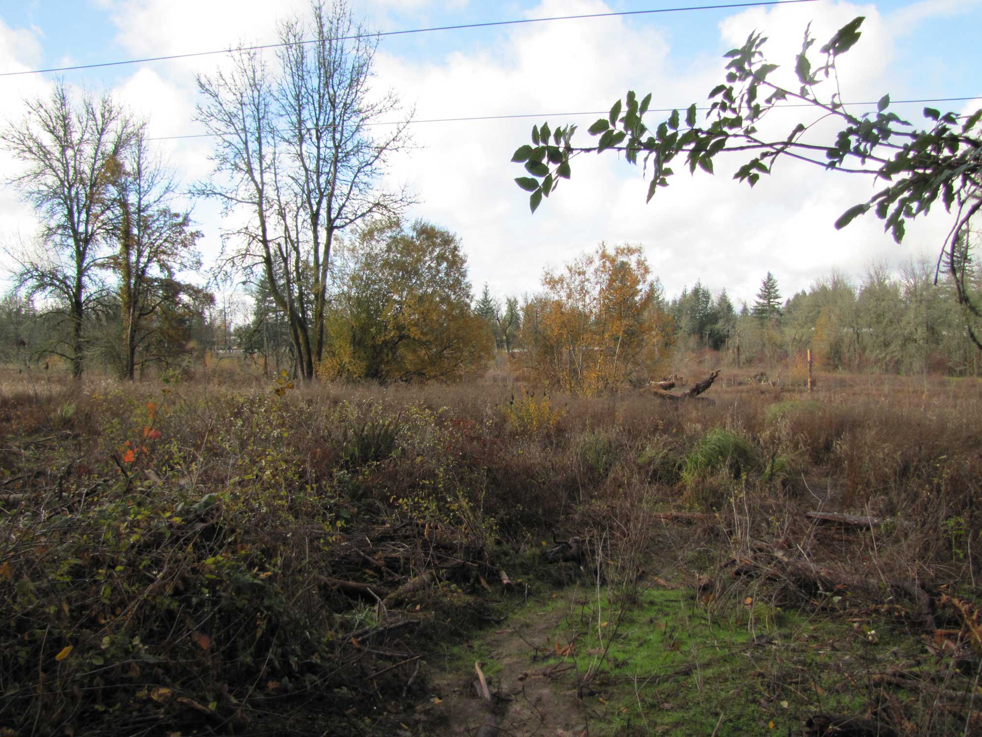 Fall 2017 Photopoint 7B