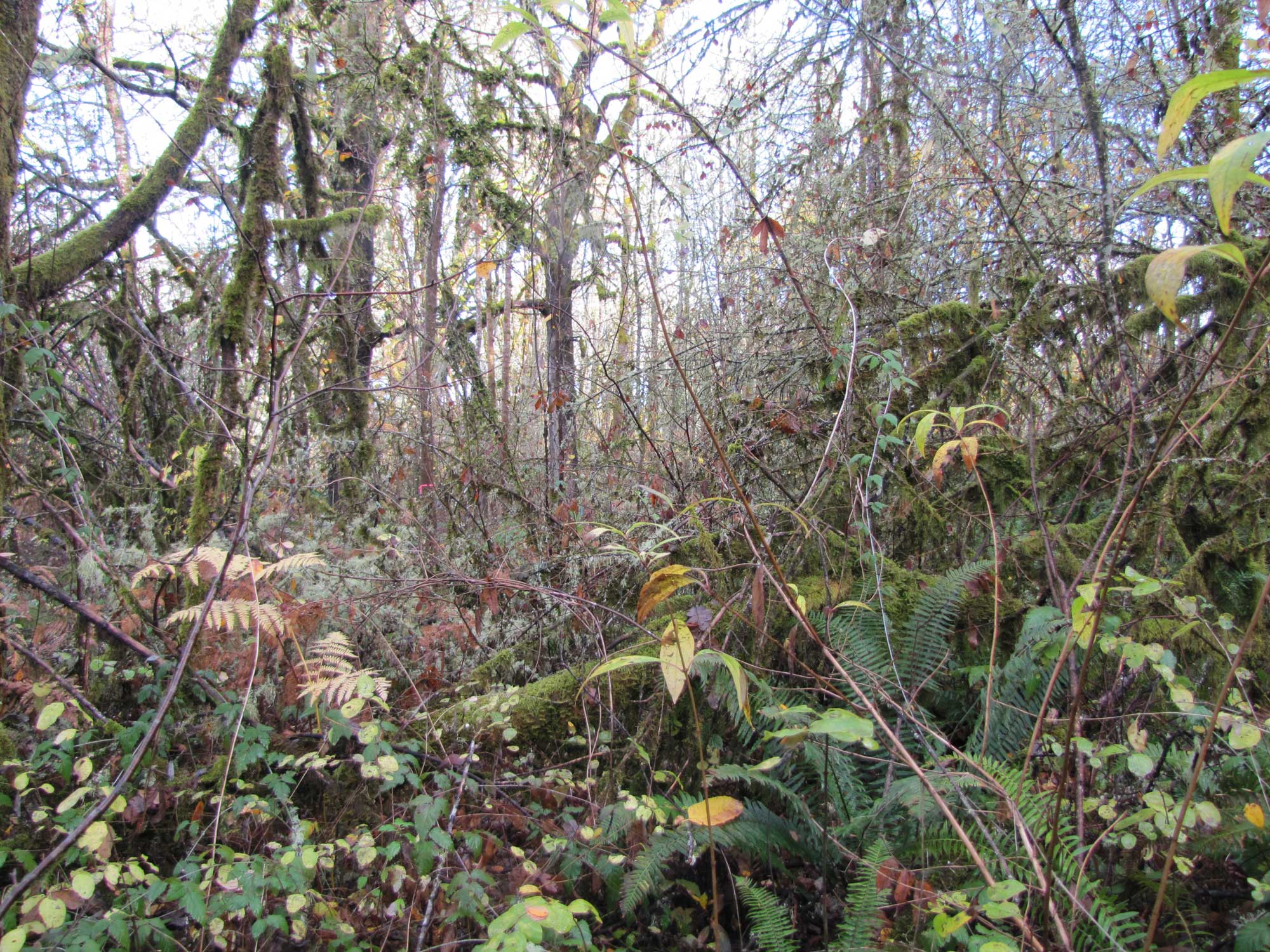 Fall 2017 Photopoint 8A