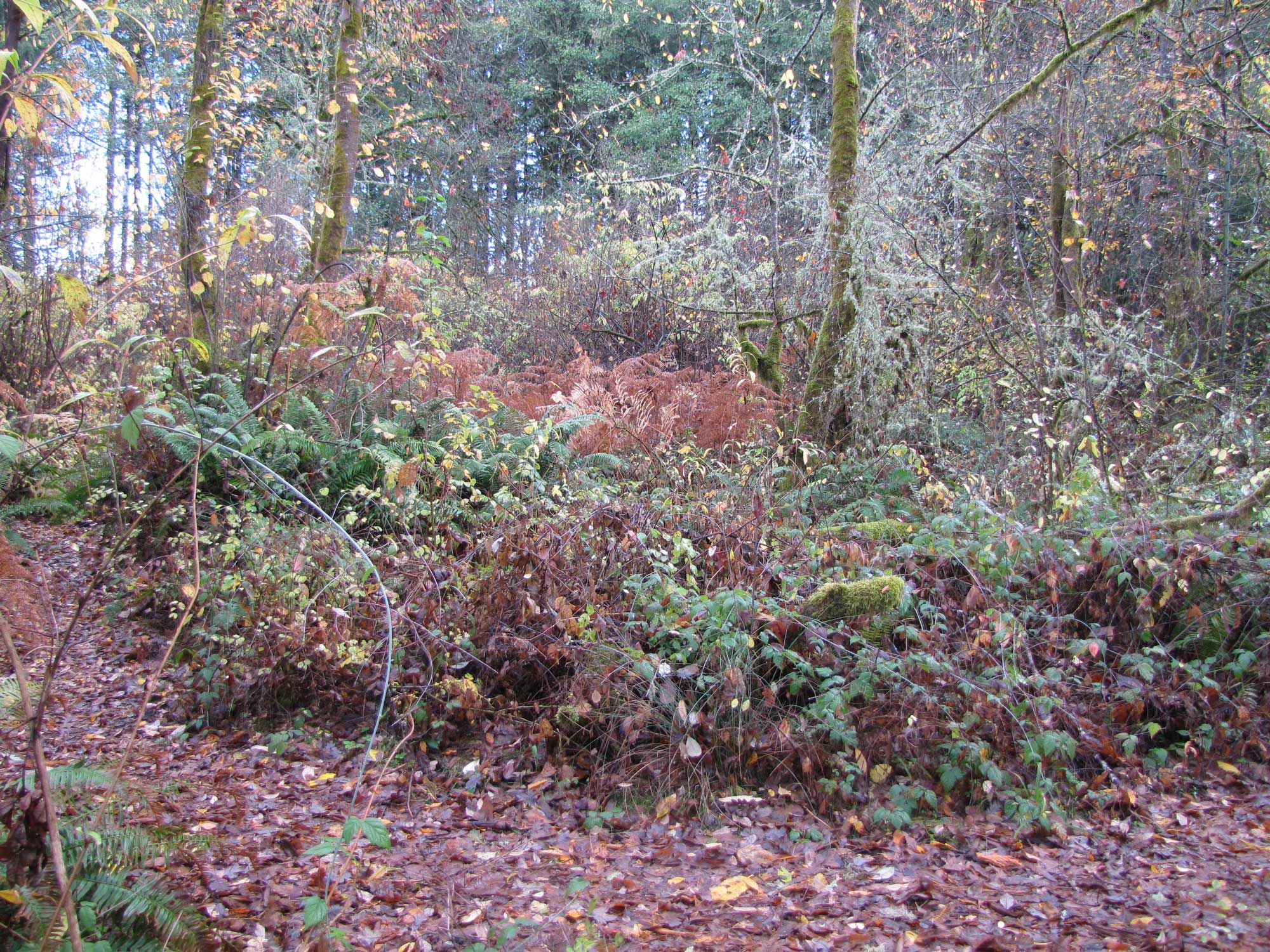 Fall 2017 Photopoint 8B