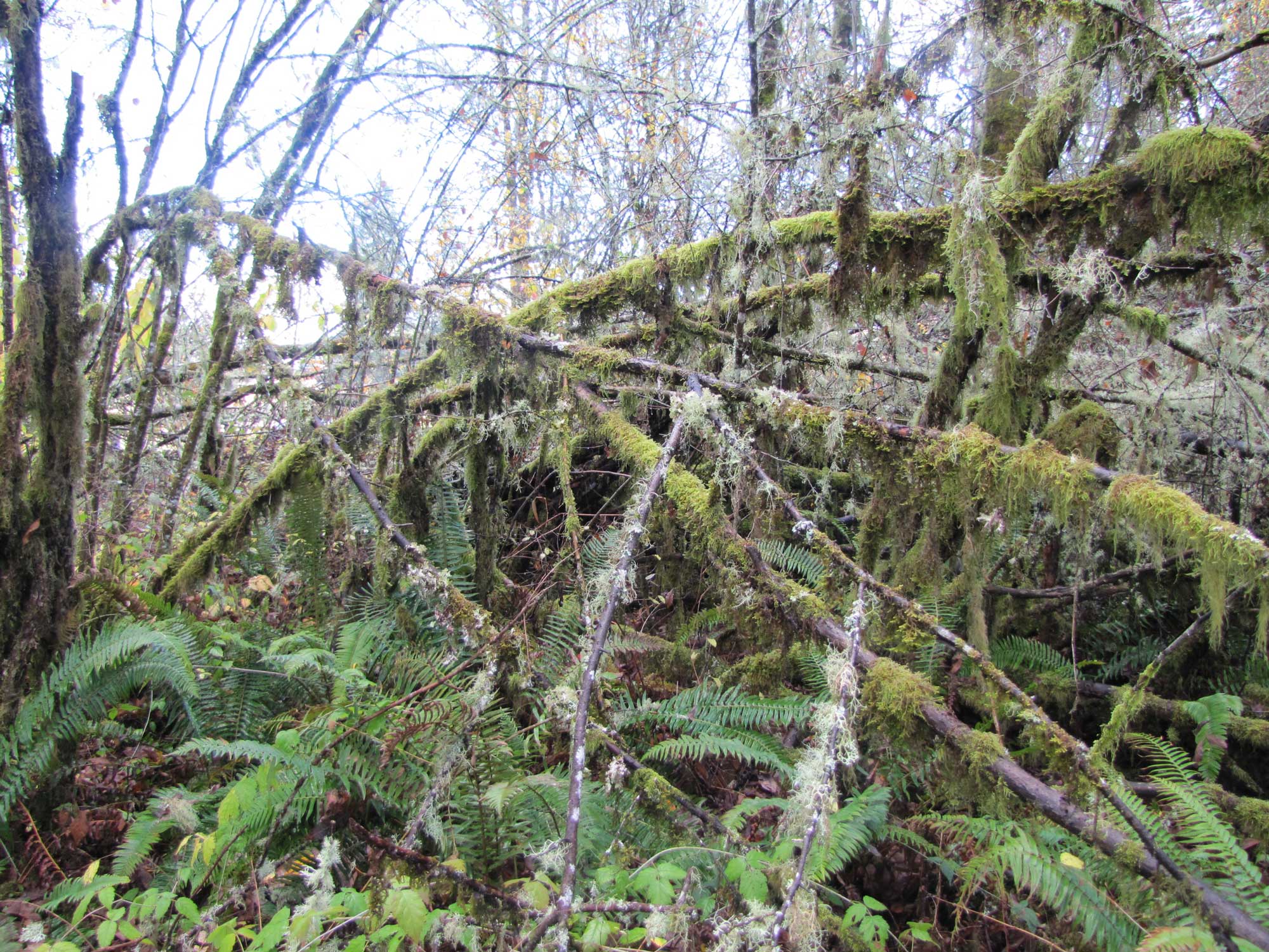 Fall 2017 Photopoint 9A